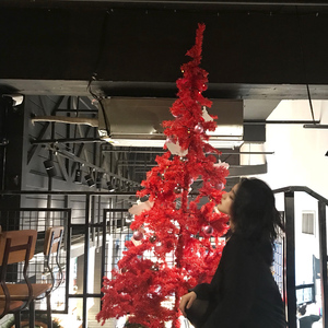 欧美高清色情电影黑白配HD播放
